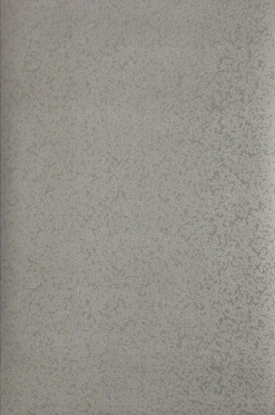Papier peint vinyle sur intissé Contemporain L.10.05 x l.0.7 m. - Réf. MC-34957