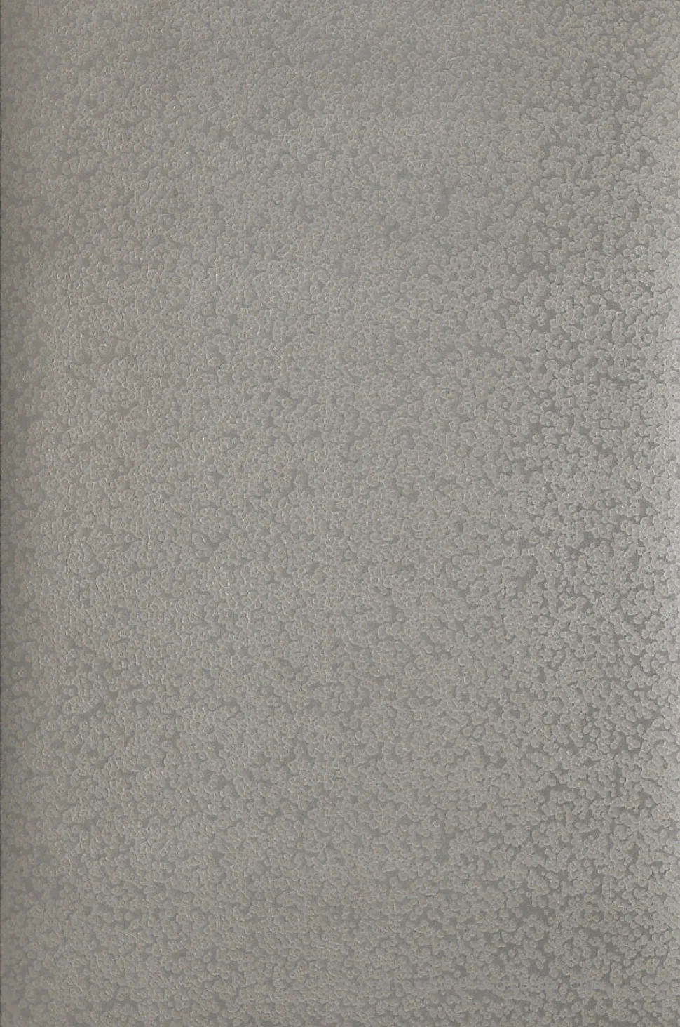 Papier peint vinyle sur intissé Contemporain L.10.05 x l.0.7 m. - Réf. MC-34957