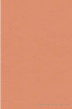 Papier peint vinyle sur intissé Uni L.10.05 x l.0.53 m. - Réf. SP15915