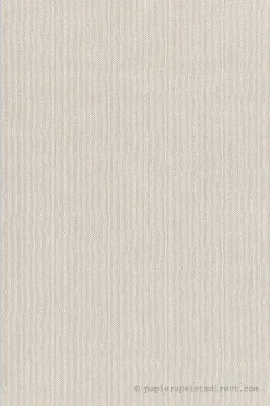 Papier peint vinyle sur intissé Contemporain L.10 x l.0.53 m. - Réf. MC-FO18101