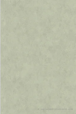 Papier peint vinyle sur intissé Uni L.10.05 x l.0.53 m. - Réf. AS-782271