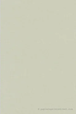 Papier peint vinyle sur intissé Uni L.10.05 x l.0.53 m. - Réf. AS-392666