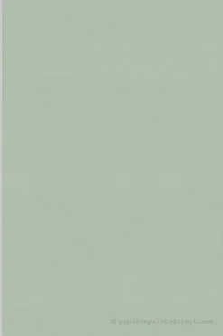Papier peint vinyle sur intissé Uni L.10.05 x l.0.53 m. - Réf. SP15912