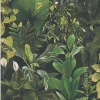 Papier peint vinyle sur intissé Jungle L.10.05 x l.0.53 m. - Réf. AS-396981