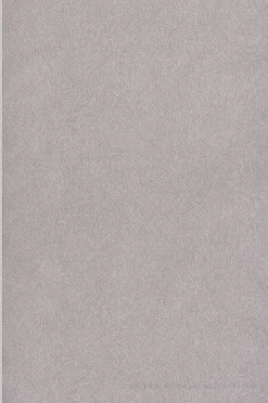 Papier peint vinyle sur intissé Uni L.10.05 x l.0.53 m. - Réf. MC-TA25023