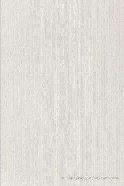 Papier peint vinyle sur intissé Vintage L.10.05 x l.0.53 m. - Réf. MC-28890