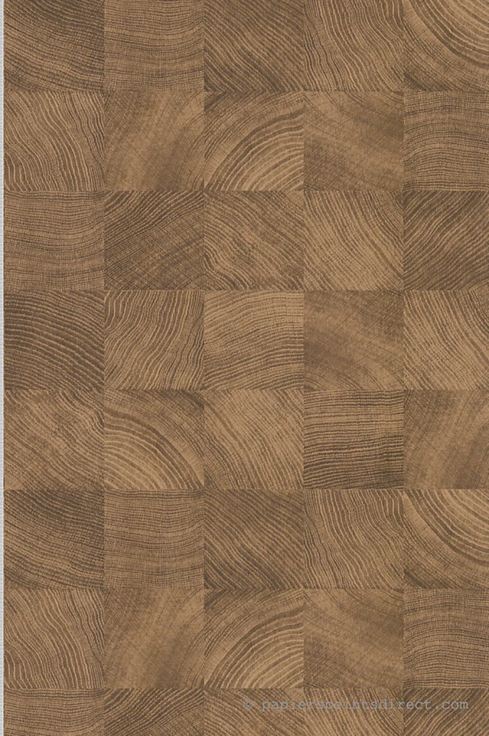 Papier peint vinyle sur intissé pré-encollé Trompe l'oeil L.10.05 x l.0.53 m. - Réf. LTC-51252018