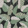Papier peint vinyle sur intissé Jungle L.10.05 x l.0.53 m. - Réf. SP15944