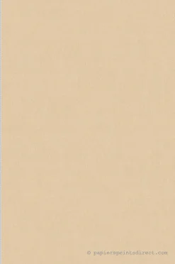 Papier peint vinyle sur intissé Uni L.10.05 x l.0.53 m. - Réf. AS-353160