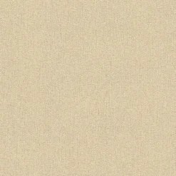 Papier peint vinyle sur intissé Uni L.10.05 x l.0.53 m. - Réf. AS-353160