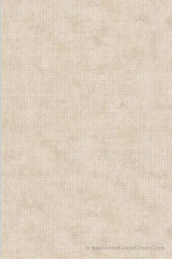 Papier peint vinyle sur intissé Contemporain L.10.05 x l.0.53 m. - Réf. AS-388262