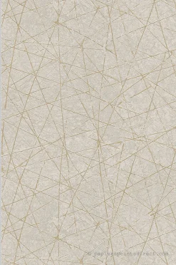Papier peint vinyle sur intissé Contemporain L.10.05 x l.0.53 m. - Réf. AS-391773