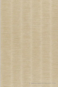 Papier peint vinyle sur intissé Trompe l'oeil L.10.05 x l.0.53 m. - Réf. MC-AZ57717