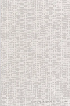 Papier peint vinyle sur intissé Contemporain L.10.05 x l.0.53 m. - Réf. LTC-11230603