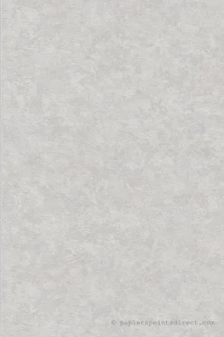 Papier peint vinyle sur intissé Uni L.10.05 x l.0.53 m. - Réf. SP15543