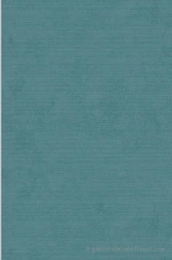 Papier peint vinyle sur intissé Uni L.10.05 x l.0.53 m. - Réf. LTC-51233101