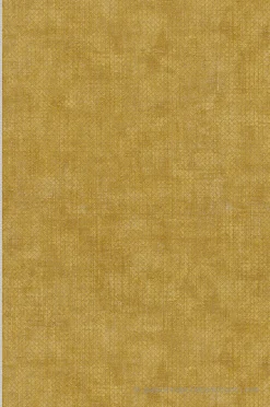 Papier peint vinyle sur intissé Contemporain L.10.05 x l.0.53 m. - Réf. AS-388265