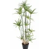 Papyrus Alternifolius artificiel h.125 cm