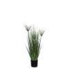 Papyrus artificiel en pot plastique vert ø12,5 x h.76 cm