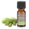 Parfum Conifère 10 Ml - Additif Pour Lampes À Parfum Et Pot-pourris