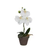 Phalaenopsis blanc artificiel ø12 x h.26 cm en pot Stan gris ø9 cm