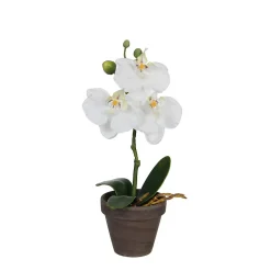 Phalaenopsis blanc artificiel ø12 x h.26 cm en pot Stan gris ø9 cm