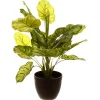 Plante artificielle - pot en ciment - H45 cm - Vert- Atmosphera
