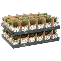 Plante artificielle - pot imprimé en porcelaine - H9 cm - Noir- Atmosphera