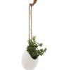 Plante artificielle - pot en céramique - H11 cm - Blanc- Atmosphera