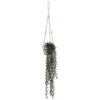 Plante artificielle Ali - H90 cm - Atmosphera
