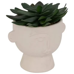 Plante artificielle Dusty H16cm- Multicolore- Atmosphera