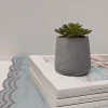 Plante artificielle en pot effet béton H.5,5cm Ornami