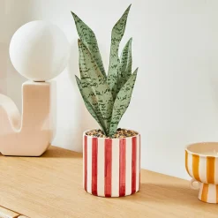 Plante artificielle en pot Cheri 11,5x11,5cm- Vert- Atmosphera