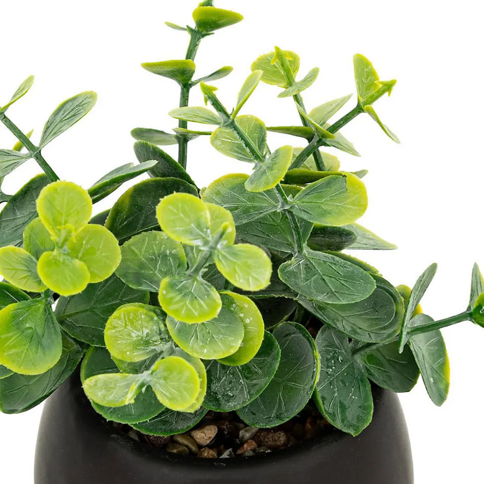 Plante artificielle Livy pot céramique H17cm- Noir- Atmosphera