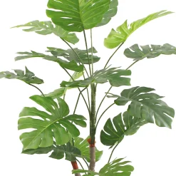 Plante artificielle Monstera Rebecca Mobili Merah 155x50x50 PEVA Polyéthylène Vert Marron