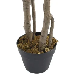 Plante artificielle Monstera Rebecca Mobili Merah 155x50x50 PEVA Polyéthylène Vert Marron