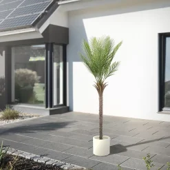 Plante artificielle palmier ML-Design 180 cm tropicale avec pot decor pour intérieur et extérieur