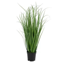 Plante Artificielle Poa, Vert, Polyéthylène, 30x30x68 cm, Seven Design