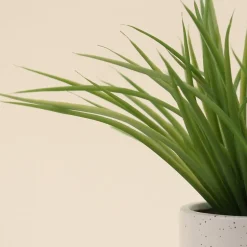 Plante artificielle pot céramique bicolore 26cm