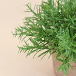 Plante artificielle pot papier maché