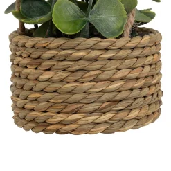 Plante artificielle suspendue Patri H47cm- Multicolore- Atmosphera