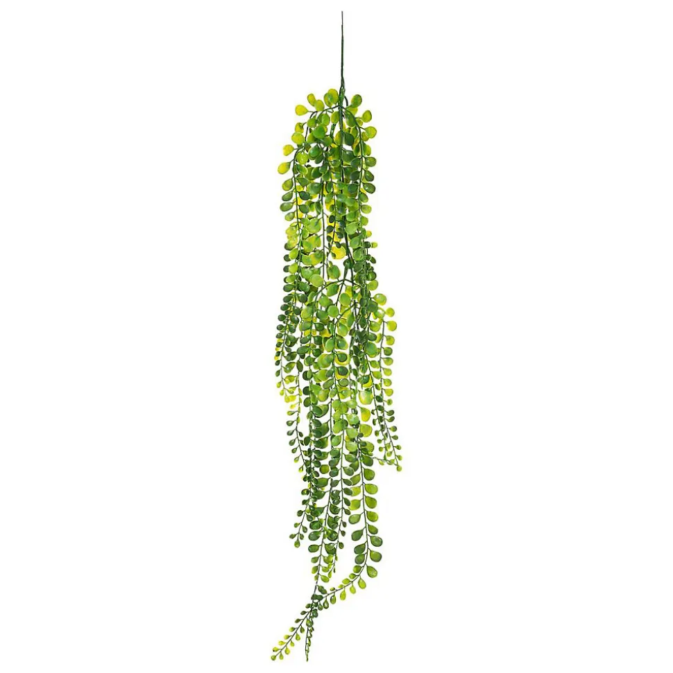 Plante artificielle tombante - H75 cm - Noir- Atmosphera