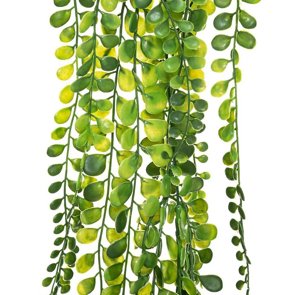 Plante artificielle tombante - H75 cm - Noir- Atmosphera