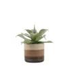 Plante grasse artificielle pot céramique rayé 12cm