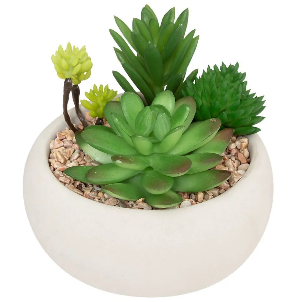 Plante grasse artificielle - pot en ciment - H10 cm - Blanc- Atmosphera