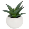Plante grasse en pot H13- Blanc- Atmosphera