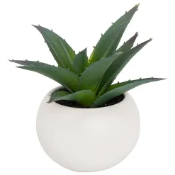 Plante grasse en pot H13- Blanc- Atmosphera