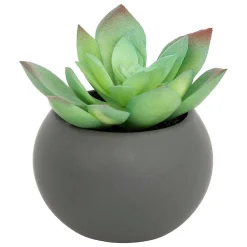 Plante grasse en pot H13- Blanc- Atmosphera
