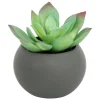 Plante grasse en pot H13- Gris- Atmosphera