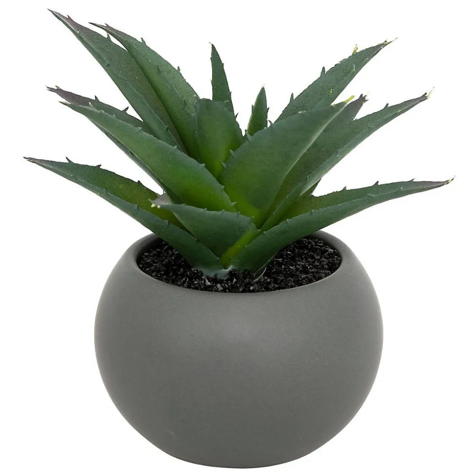 Plante grasse en pot H13- Gris- Atmosphera